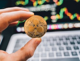Velos Markets策略框架深度解析：当智能遇见人性