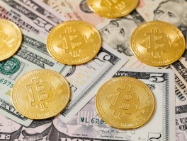 Velos Markets威马证券：一站式多元化金融交易平台的全方位解析