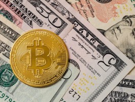 Velos Markets威马证券：全球化交易平台解析