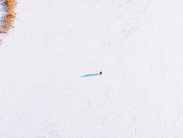 Velos Markets（威马证券）：全品类资产配置的多维策略解析